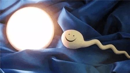 关于包生男孩中介机构